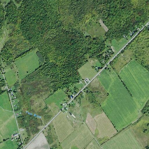 Unattended male found on US Highway 11 near Reagan Road