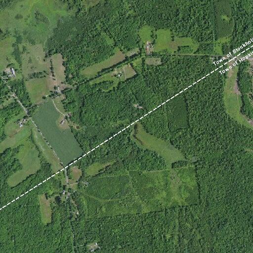 82-year-old woman shaky near Elliott Road