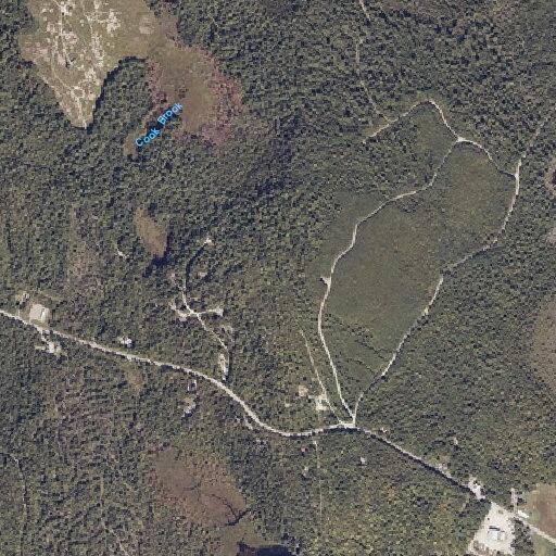Female patient dizzy and vomiting near Hardwood Hill Road Waltham