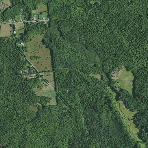 Man reports self-inflicted gunshot at barn