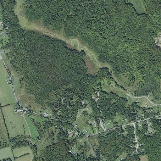 56-year-old woman falls, needs assistance in Fairfax