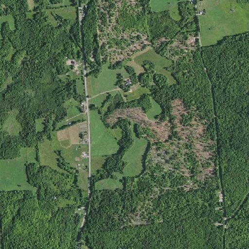 Controlled burn at County Route 5 property
