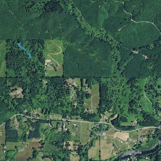 Person with abdominal issue near Logsden Road