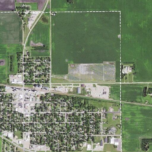Dog bite reported late near Birch Avenue East