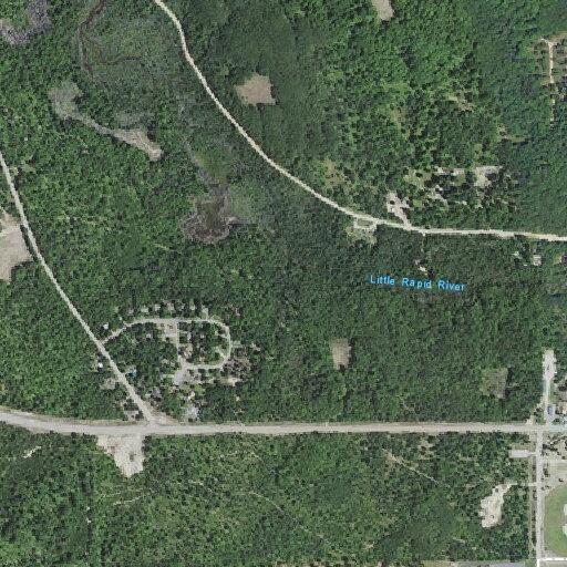 Elderly female with dementia needs medical evaluation