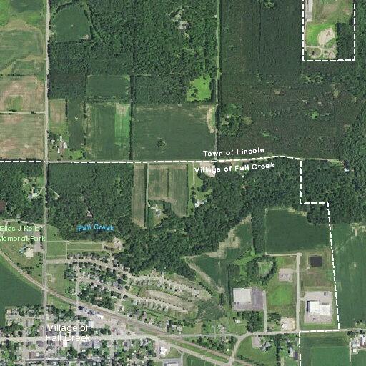 Man with suicidal thoughts at group home in Fall Creek