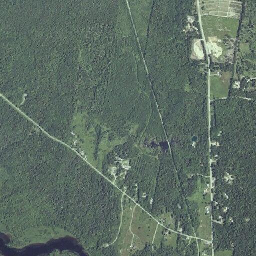 Person with chest pain near Palmer Landing Road