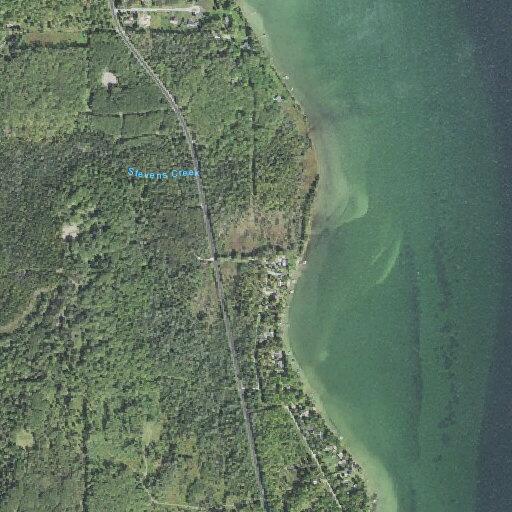 Elderly woman weak and passing black stools in Hubbard Lake
