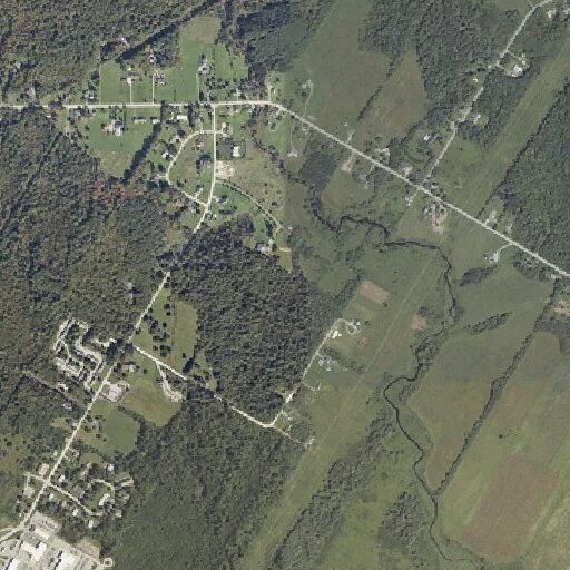 Elderly woman requires medical assistance near Riverview