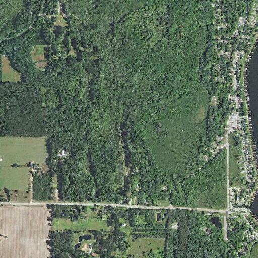 Elderly male delirious but breathing near Lake Drive