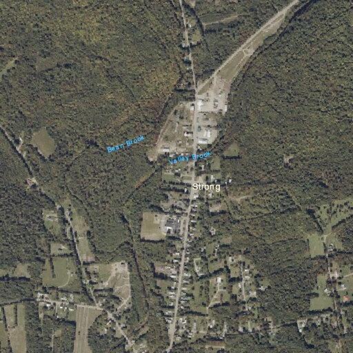 Suicidal 15-year-old reported near North Main St in Strong