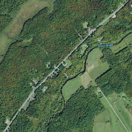 Female with diabetic emergency near state highway 310 in Norfolk
