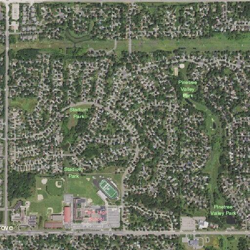 Person with back pain near 79th Street South