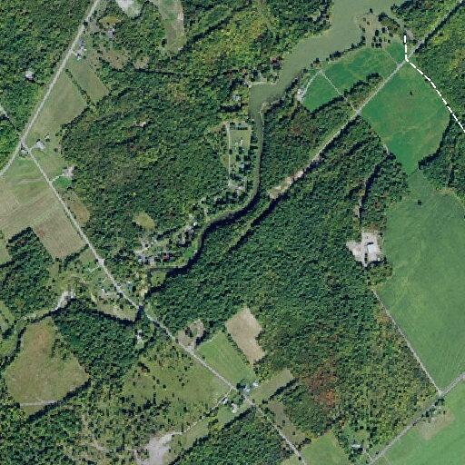 89-year-old male falls from lawnmower with arm injury