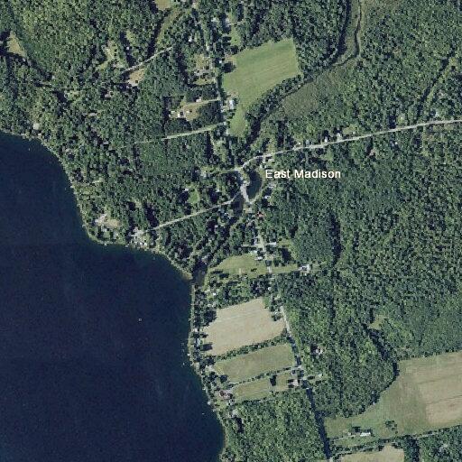Deceased deer reported on East Madison Road