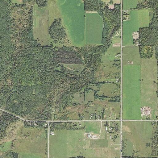 Disorderly conduct reported on Spruce Manor Road