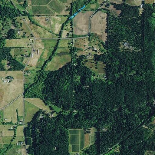 Person with severe abdominal pain at Cooper Hollow Road