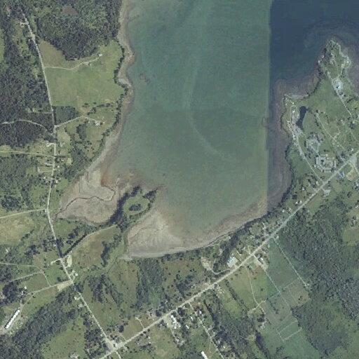 Elderly woman with rapid heart rate and low oxygen in Lubec