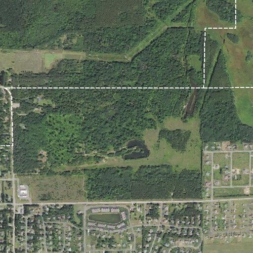 Elderly woman with hip pain unable to walk near forest grove avenue