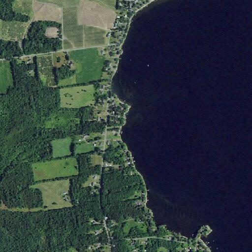 Tree blocking Lakeshore Road in Chazy