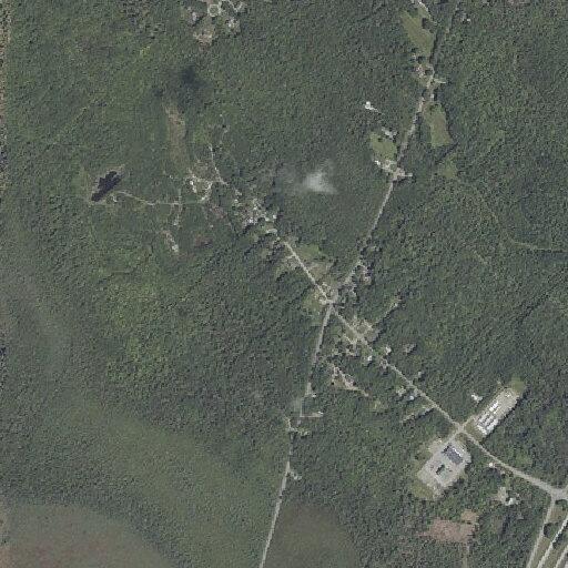 Animal issue reported on Kelly Road