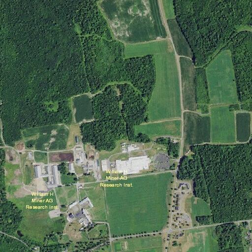 Vehicle crash alert near Ridge Road in Chazy