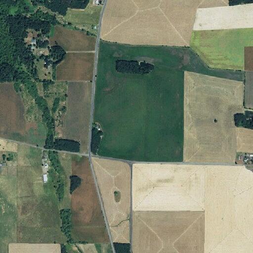 Unattended backyard grass fire in Sublimity