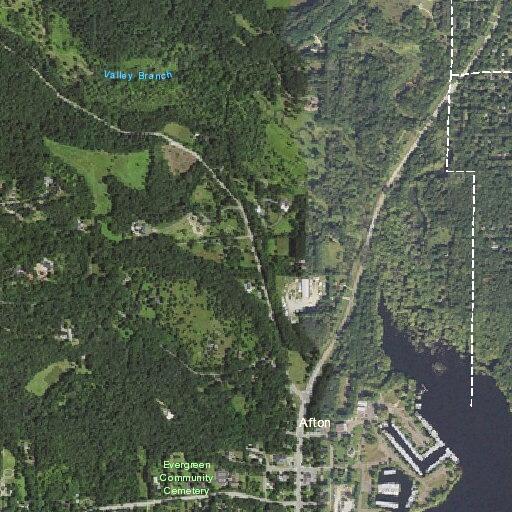 Deer struck by vehicle; driver reports no damage