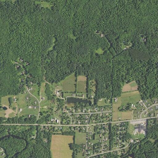 Lift assist for elderly female near River Road in Township of Ringle