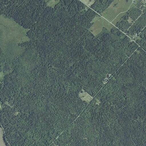 Brush fire at Clarkside Cemetery in Pembroke