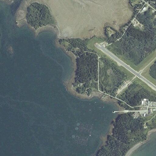 Female in late 40s having seizure in Eastport