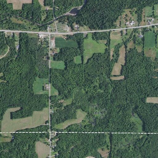 Physical domestic reported on Alder Bend Road