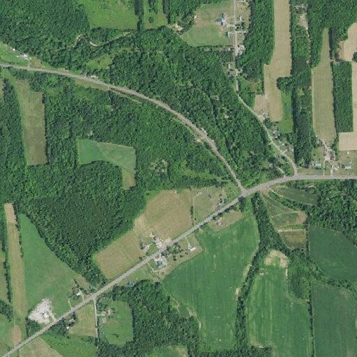 Elderly woman weak with leg pain near State Route 11