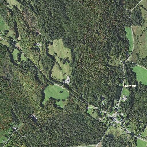 Elderly woman with altered mental status in Morgan