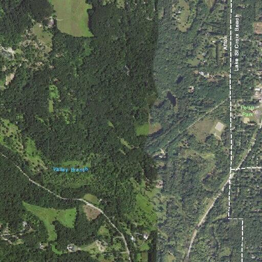 Tree on power line causing electrical hazard