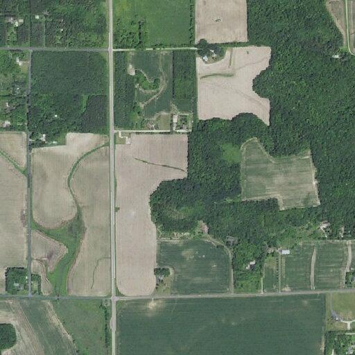 Pine tree fire near home on Highway 65