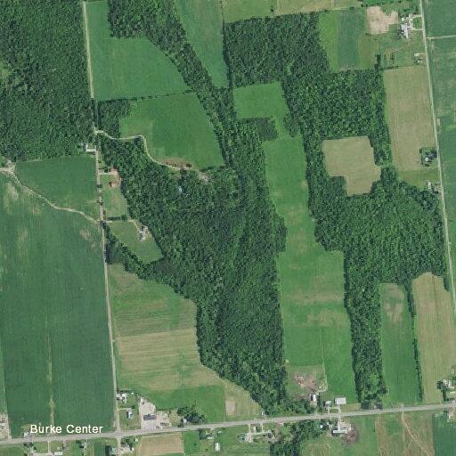 Dog bite incident at 5364 State Route 11 in Burke