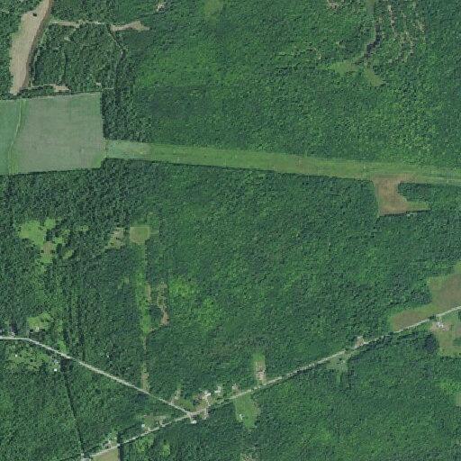 Woman vomiting and faint near Buell Road