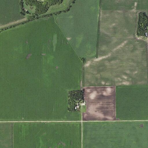 Loose pit bulls in yard near Lake Lillian