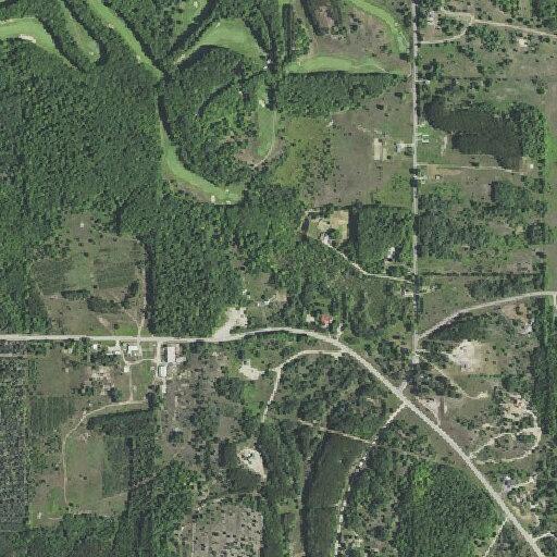 Woman with severe back pain near Schuss Mountain Rd in Mancelona
