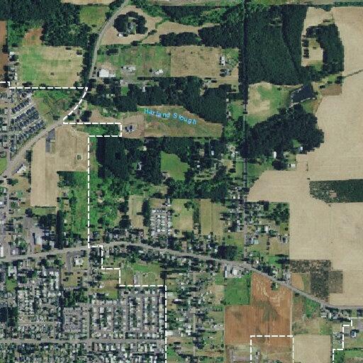 Unknown medical emergency at West Delandale Avenue