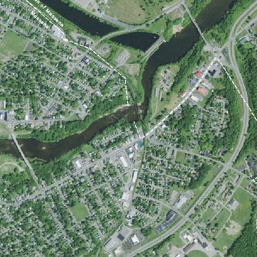 Fire department assists rescue near Brighton Street