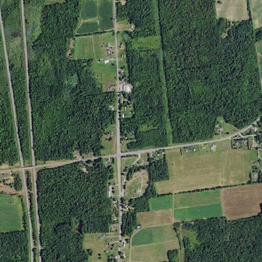 Cats reportedly abandoned in Chazy house