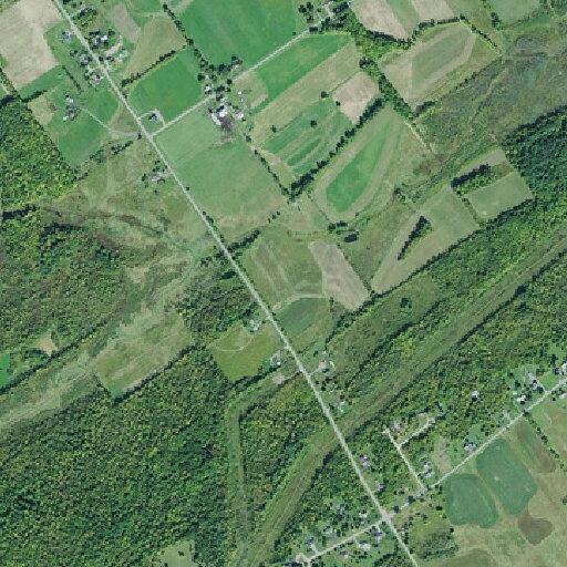 Elderly woman injured leg after fall on highway 131