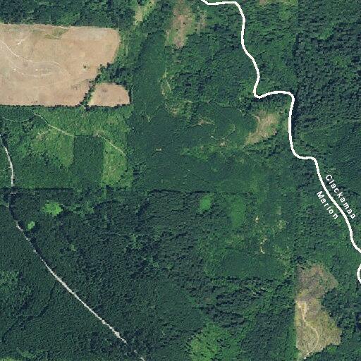 Small roadside brush fire near Crooked Finger Road