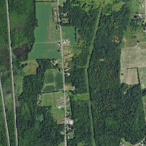 Woman in 50s sits under tree near ditch on Route 9