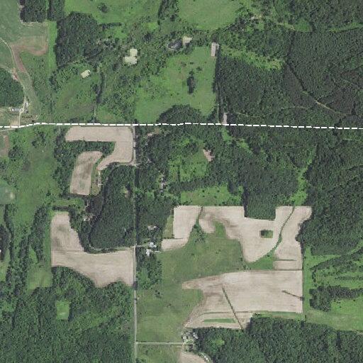 Resident reports nuisance bear on property