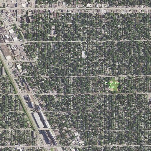Person bitten by animal at Minneapolis intersection