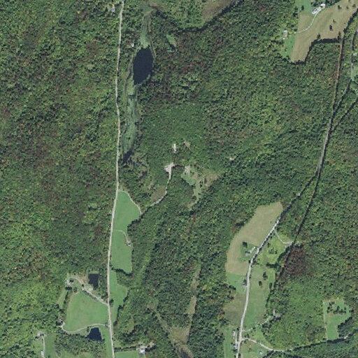 Man experiencing chest pains and lightheadedness in Richford