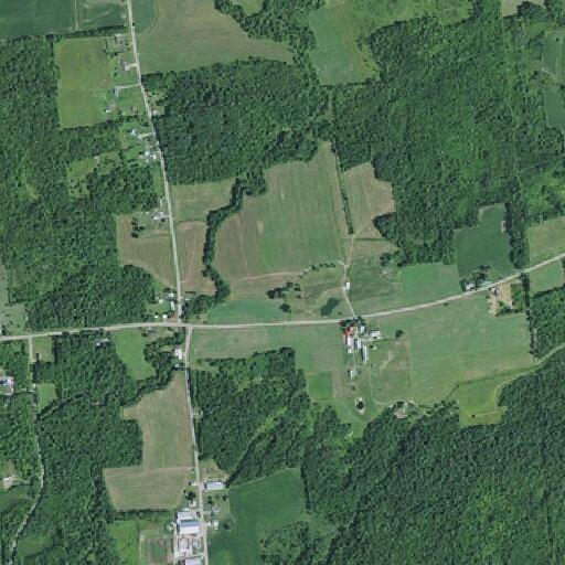 74-year-old woman falls with possible hand and head injuries